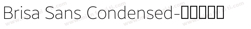 Brisa Sans Condensed字体转换